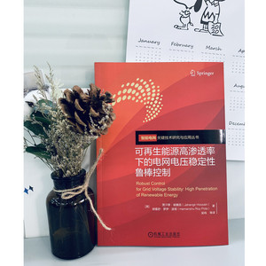 可再生能源高渗透率下的电网电压稳定性鲁棒控制