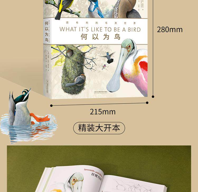 Птица 当当网 何以为鸟：西布利的鸟类世界 赠烫金印签2张大装裱画  观鸟手册鸟类常识入门鸟类辨别指南鸟类画册科普书籍 正版书籍
