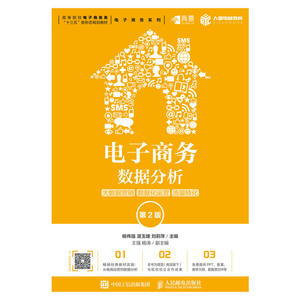 电子商务数据分析：大数据营销 数据化运营 流量转化（第2版）