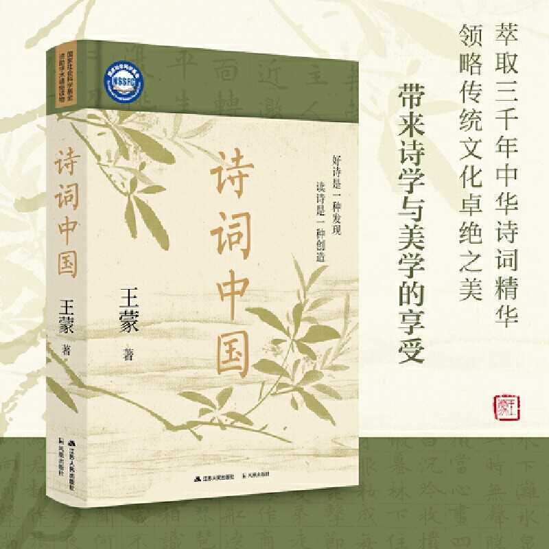 诗词中国,王蒙大师课:古诗词畅销书,收藏级诗词鉴赏宝藏读本📖 -中国古诗词-淘宝百科网