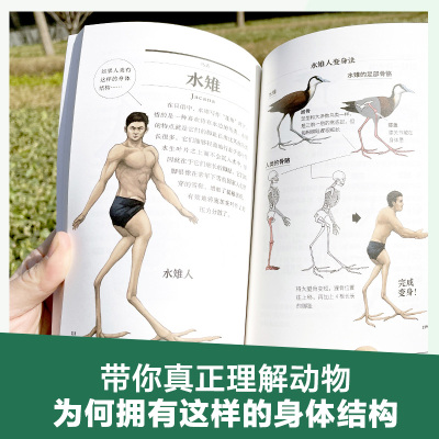 当当网 跟动物交换身体2（当当专享贴纸，火爆日本的科普神作《跟动物交换身体》第二弹上市 科普作家邢立达 国民教师李永乐