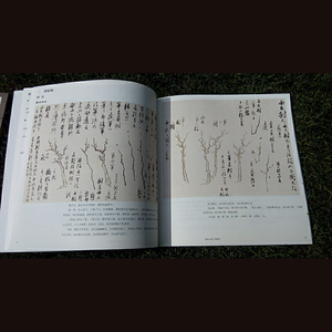 龚贤山水画（精编版）——名家课徒稿临本