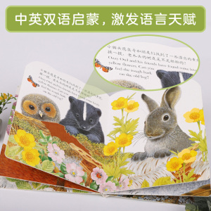 亮丽精美触摸书：小熊波比