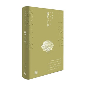 流水三十章（王安忆长篇小说）