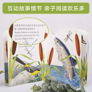 亮丽精美触摸书：小水獭奥斯卡