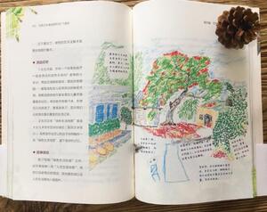 【当当网 正版童书】 与孩子共享自然的60个游戏 20年自然教育实践，60个分级分龄游戏，