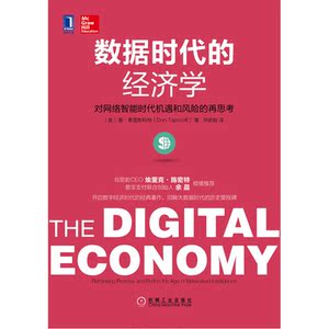 数据时代的经济学：对网络智能时代机遇和风险的再思考