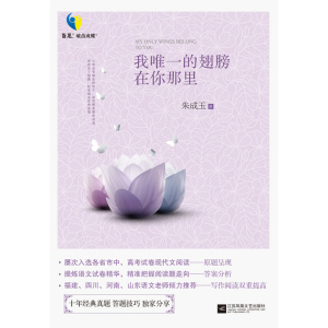 我*的翅膀在你那里