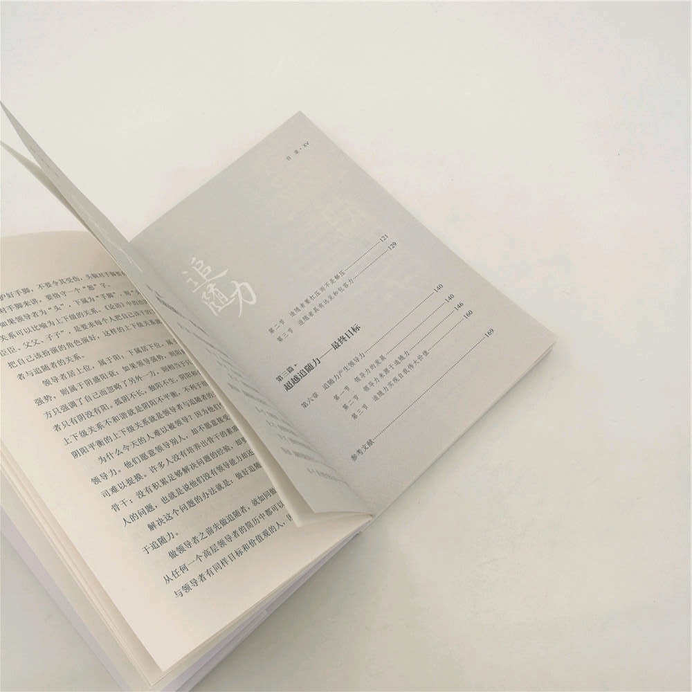 Руководство 追随力