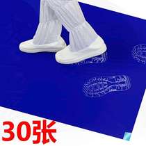 Sticky dust mat special price dust-free mat clean room sticky ash Mat 60*90 65*110 floor mat