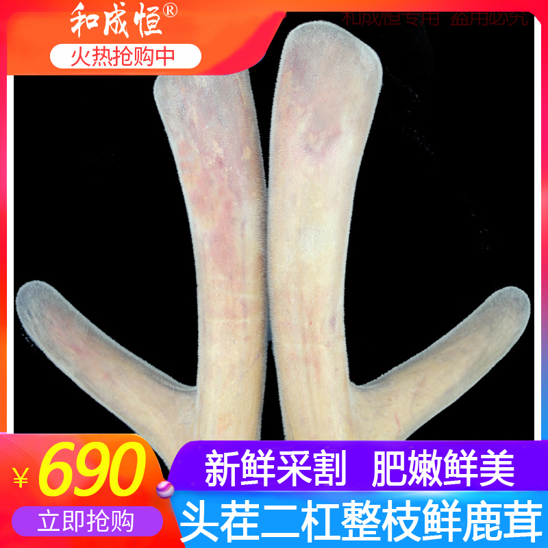 Fresh whole branches 2-bar Stubble Deer Antler Sheet Dry Bubble Water Bubble Wine Material Positive Semi-Cured Slice Powder Jilin Plum Blossom Deer