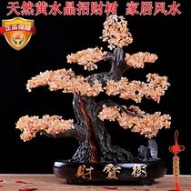 Natural primary color citrine powder Crystal lucky tree wealth tree opening gift cornucopia feng shui ornaments