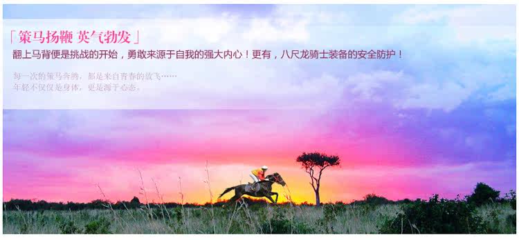 Article équitation pour homme BASLONG - Ref 1380858 Image 9