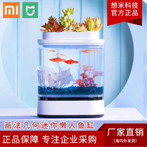 Drawing geometry Mini lazy fish tank Home living room Office Intelligent lighting Small aquarium Goldfish tank