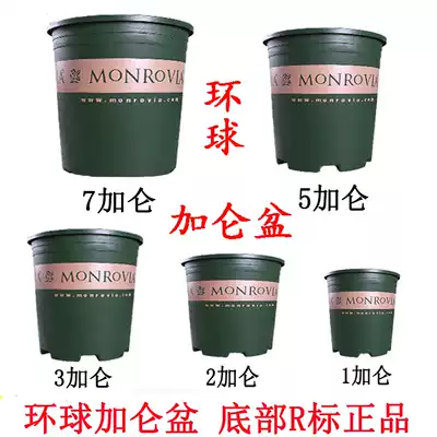 Universal gallon resin plastic flowerpot balcony planting flower growing vegetable meat Golden Ge gardening rose flower pot