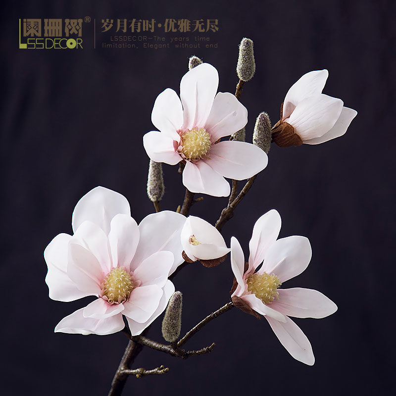 ��ɺ���չ�������֦F565