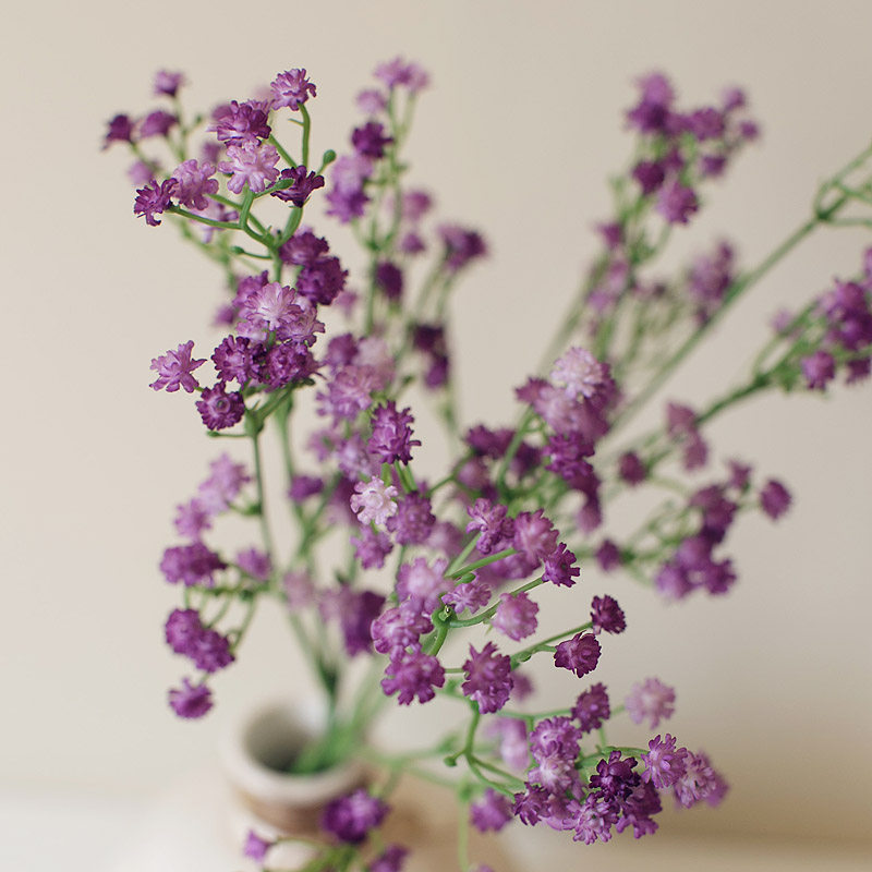 ��ɺ�����滨�廨F636