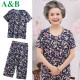 AB grandma dress summer cotton silk ice silk suit cardigan short-sleeved 6070-year-old mother old lady mother-in-law two-piece set female