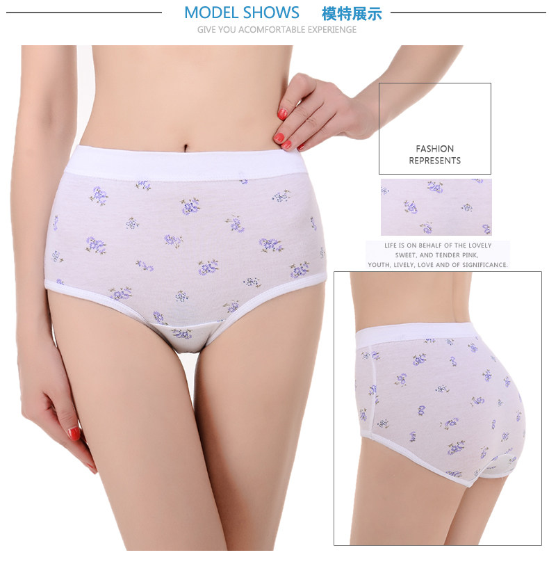 Slip Moyen-âge en coton - Ref 643131 Image 20