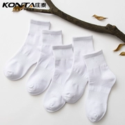 Vớ cotton nam mùa thu và mùa đông màu rắn ống cao vớ nam kinh doanh vớ thể thao dày ấm 7 ngày vớ cotton khử mùi