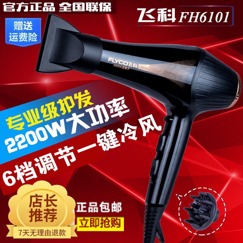 Feike FH6101 hair dryer hair salon household negative ion large wind hot and cold wind management shop high-power hair dryer