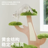 Zeze Green Sweet Tree House Cat Cating Cat West