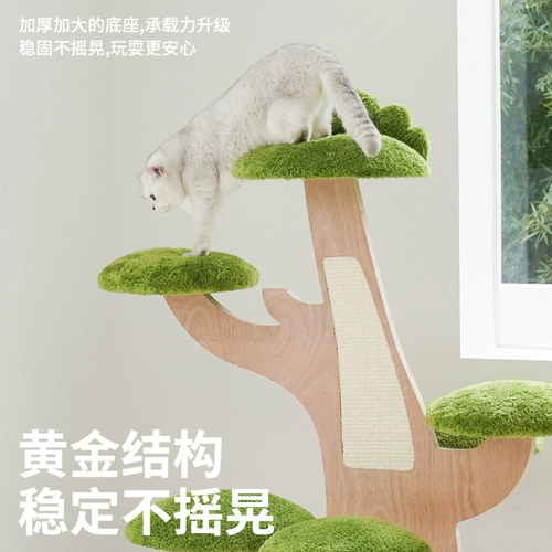 Zeze Green Sweet Tree House Cat Cating Cat West