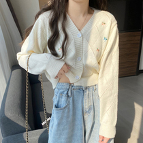 V Collar Knit Cardiovert Jacket Woman Dress Spring Autumn Slim Fit Sweater 2022 New Gentle Wind Long Sleeve Short blouses