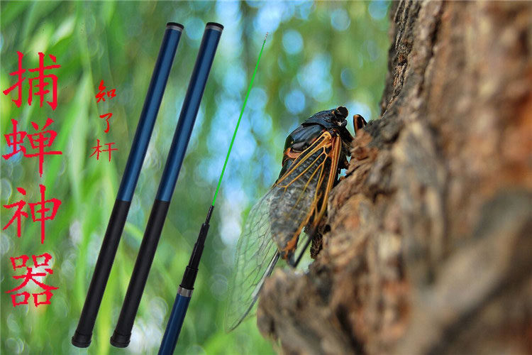 The cicadas are known for the pole 3-16 m glued to know the cicadas hard-tuning tool to know the pole-Taobao pole-Taobao