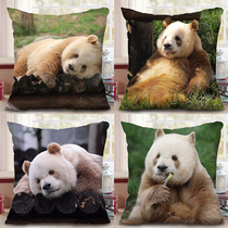 Giant panda Qizai surrounding square pillows pillows dolls male nap pillows gifts for friends gift cushions