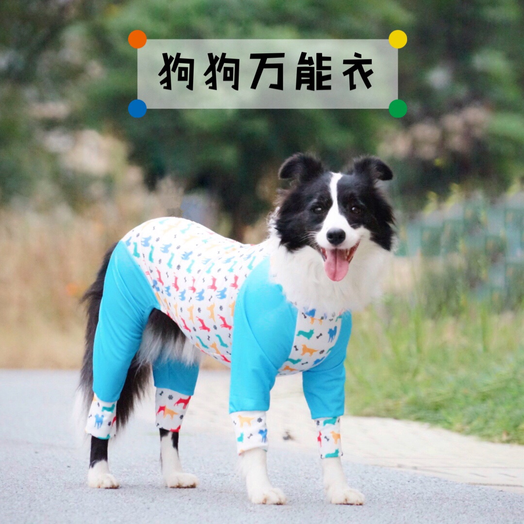 Stay Melon Home Pet Pooch Swimsuit Swimsuit Not Stained kokie Four-footed Pet Speed Jersey Day Slip