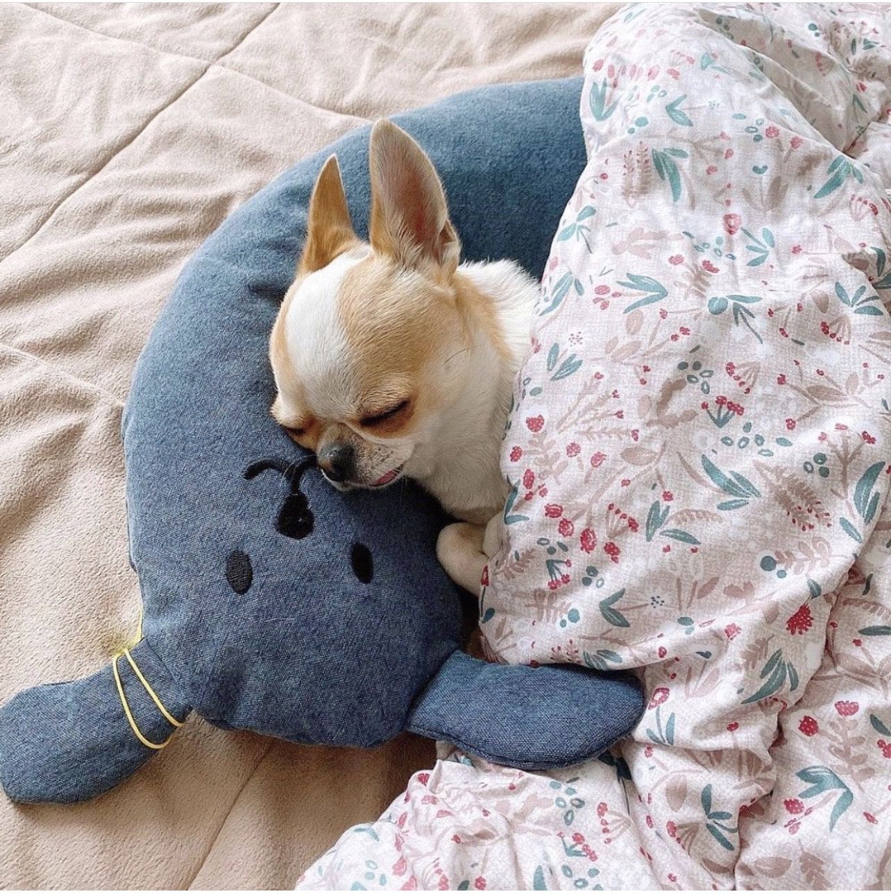 Dolphin's pet dog comfort pillow pet cat dog deep sleep pillow comfort toys spot