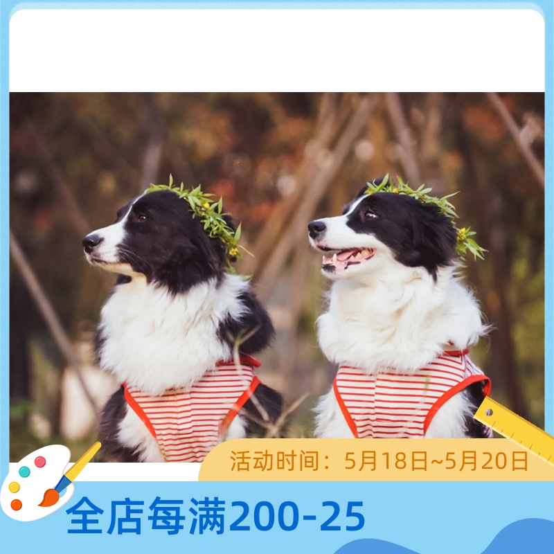 Pets Puppy Spring loaded with large dog border Shepherd dog Samojin Mao Academy Wind sailor collar pure cotton vest