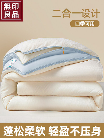 MUJI Class A quilt core quilt mother quilt two-in-one zipper spring and autumn quilt thickened warm winter quilt quilt
