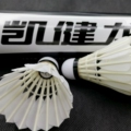 凯健龙羽毛球直销店的LOGO