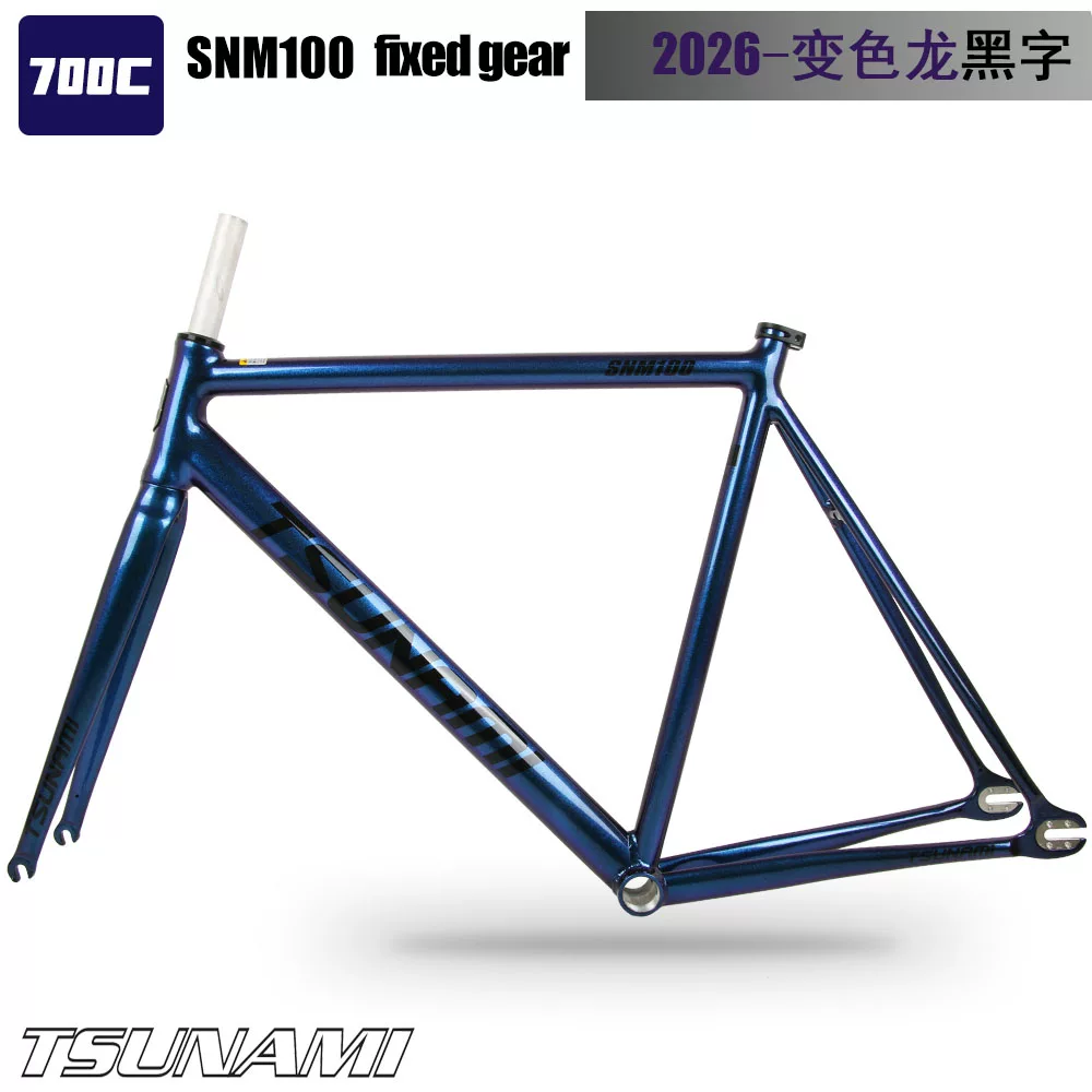 TSUNAMI Tsunami Speed ​​Nami SNM100 Pioneer Dead Flying Aluminum Alloy Racing Track Bicycle Frame
