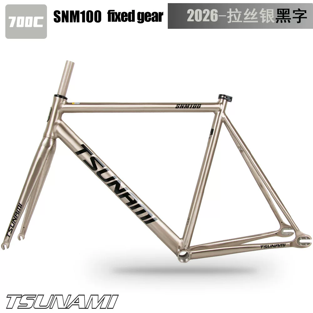 TSUNAMI Tsunami Speed ​​Nami SNM100 Pioneer Dead Flying Aluminum Alloy Racing Track Bicycle Frame