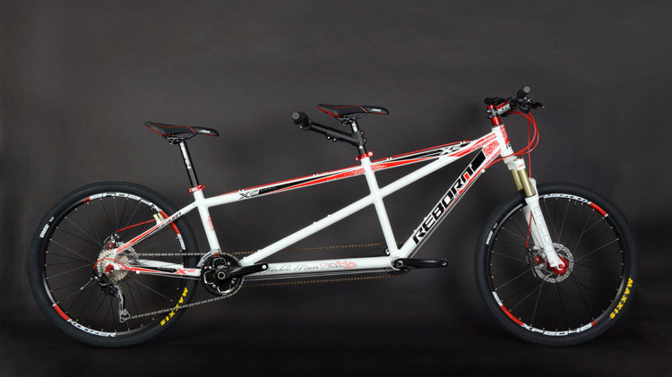 Selle de vélo Mountain Bike SELLE ROYAL - Ref 2351635 Image 23