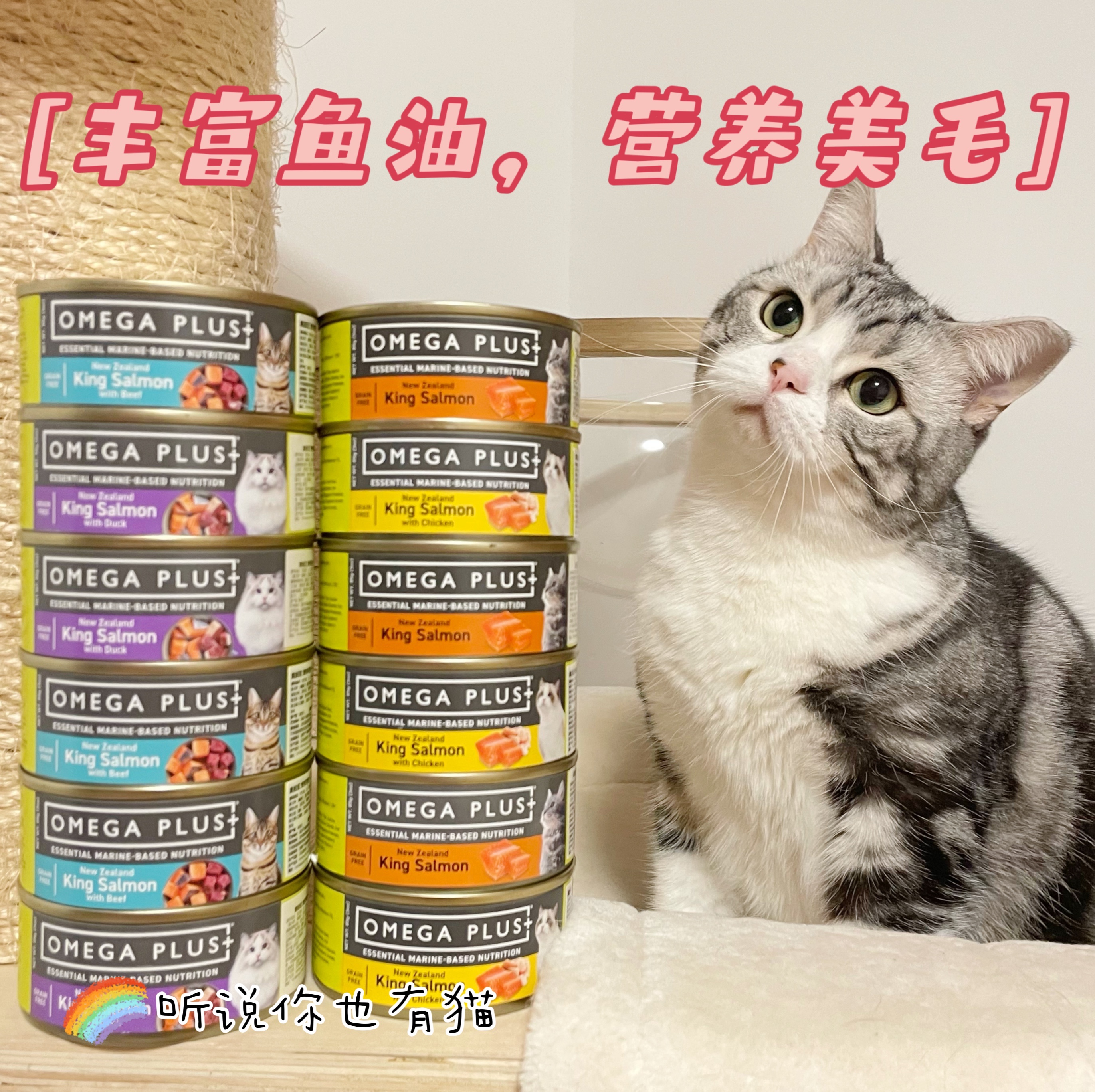 Omega Plus New Zealand op imports grain-free canned king salmon cat wet food