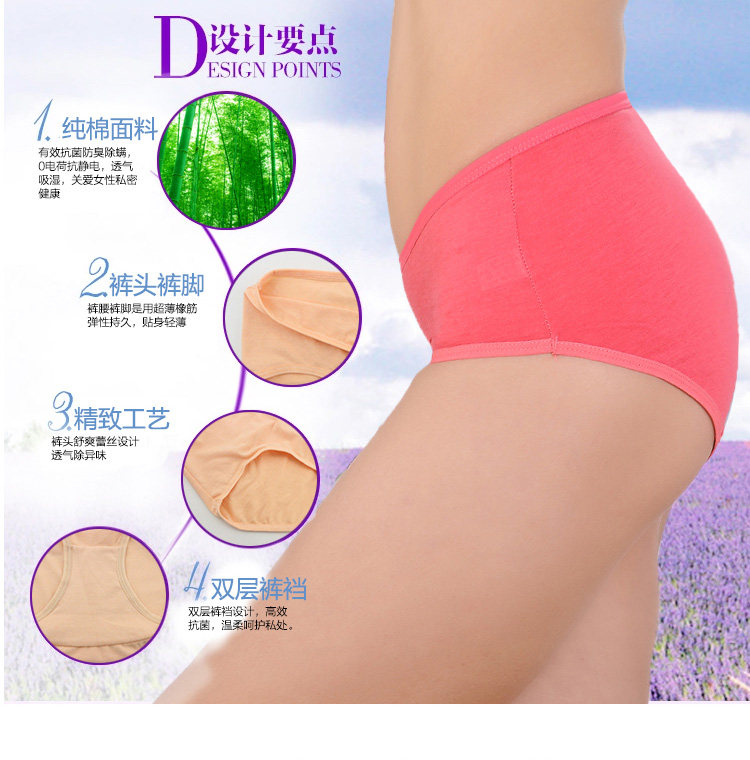 Slip jeunesse simple en coton - Ref 643044 Image 13