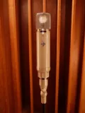 Telefunken Dezhite ELA M251E 251E Электронная трубка емкости микрофон с высоким содержанием конечностей микрофон
