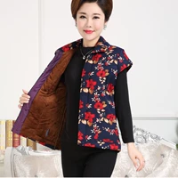 Áo bà bầu mùa đông ngắn tay chần cộng với áo nhung nhung trung niên áo vest cotton ấm mùa đông áo vest nữ thoi trang cong so