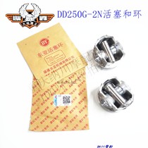 Earth Eagle King Double Cylinder Water-cooled 250 Original Special Piston and Ring DD250G-2N Piston and Ring 55 Bore