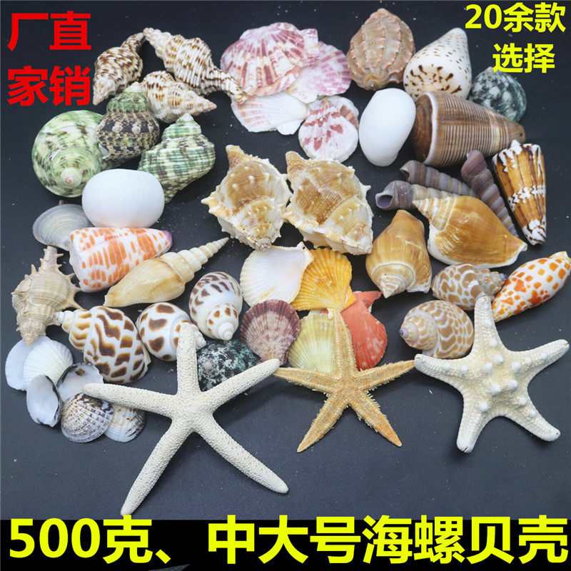 Sea Snail Shells Sea Stars Empty Bottle Material Bags Handmade Diy Wind Bells Rafting Bottle Fish Tank Decorations for the crab