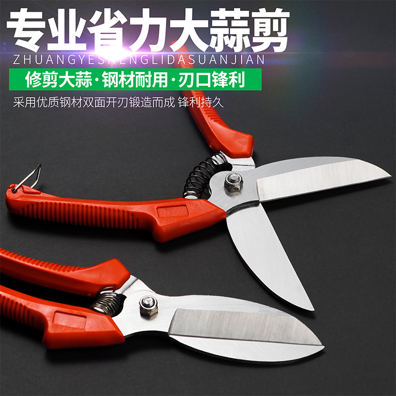 Cut garlic artifact garlic scissors special garlic root scissors agricultural cut tomato head cut onion scissors