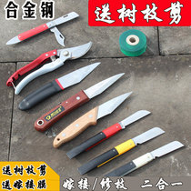 Foldable grafting knife to send film Germany imported special steel premium professional gardening frame to connect fruit tree seedlings and buds to the knife