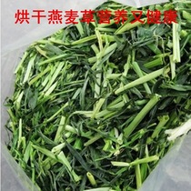 Oat grass segment guinea pig Dutch pig Rabbit Rabbit ChinChin forage feed 150g