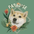 阿哇的宠物生活的LOGO