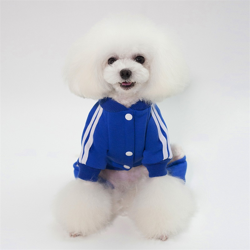 Chó nhỏ áo len bốn chân Teddy hơn Xiong Bomei mùa thu và mùa đông chó mặc đồ thể thao thủy triều chó quần áo trang phục mùa thu - Quần áo & phụ kiện thú cưng quần áo cho chó phốc sóc
