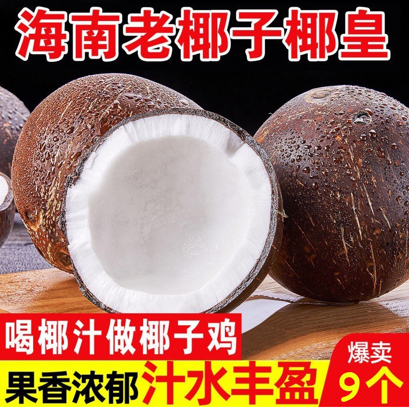 5个装海南牛奶椰皇：新鲜当季水果，老椰子去皮抛光，黑椰青椰肉煲汤宝，尝鲜必备！-椰青-淘宝百科网